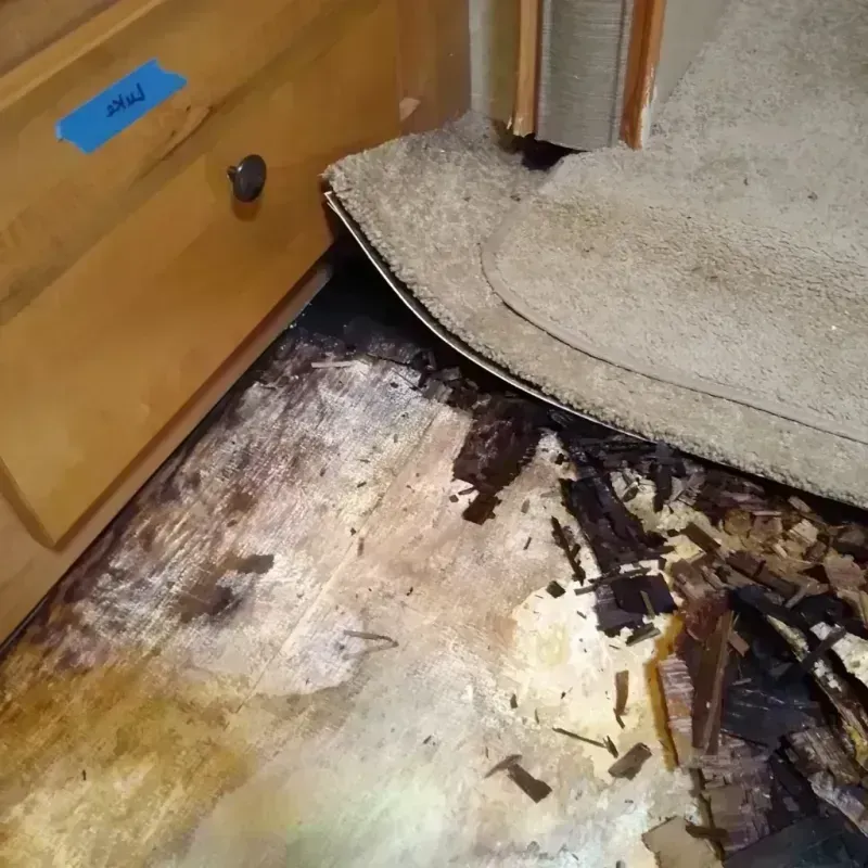 Wood Floor Water Damage in Camden, AR